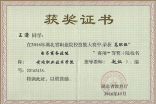 大一电子商务的专业导论