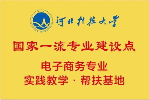 本科里有电子商务专业吗