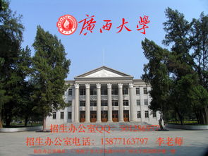 辽宁省专科电子商务专业